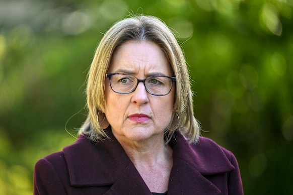 Victorian Premier Jacinta Allan said she strongly disagrees with James Packer’s character assessment of Daniel Andrews.