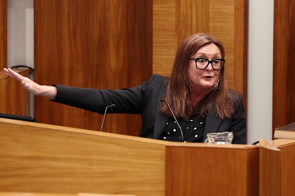 Queensland Council of Unions leader Jacqueline King at Tuesday’s hearing.  