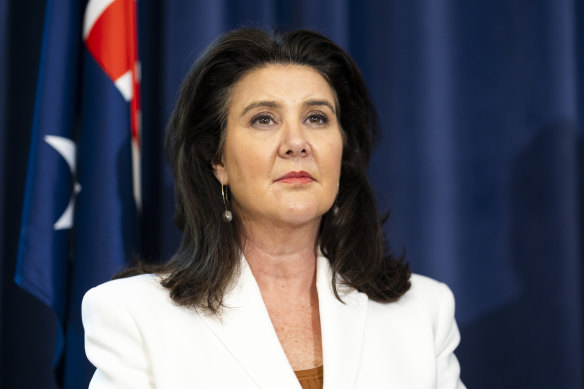The opposition’s finance spokeswoman Jane Hume.