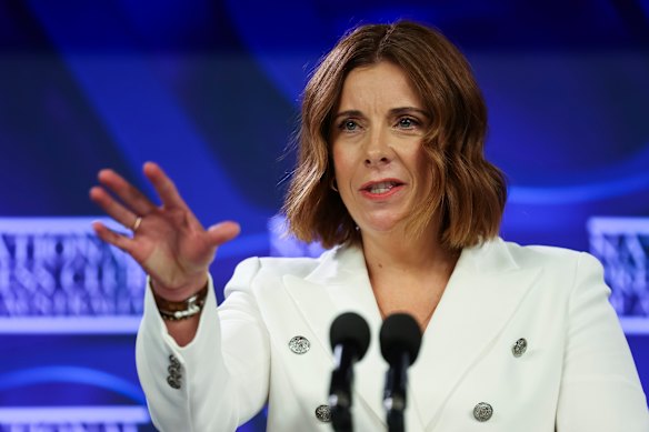 Communications and Sport Minister Anika Wells has defended her use of expenses and family reunion entitlements.