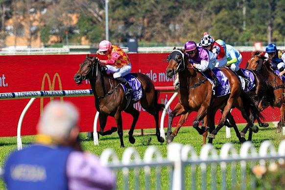 Canterbury hosts a seven-race meeting on Friday.