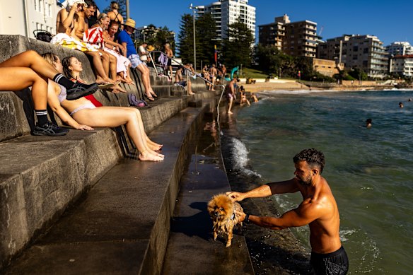 Sydney siders cool off at Cronulla Beach during the December heatwave.