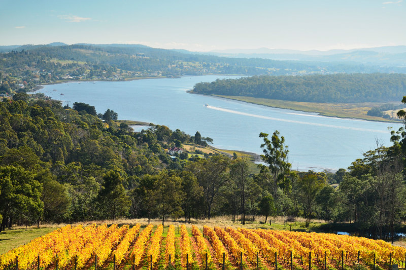 Fortescue Metals, Origin Energy and Woodside are proposing hydrogen projects in the Bell Bay industrial zone on the Tamar River.
