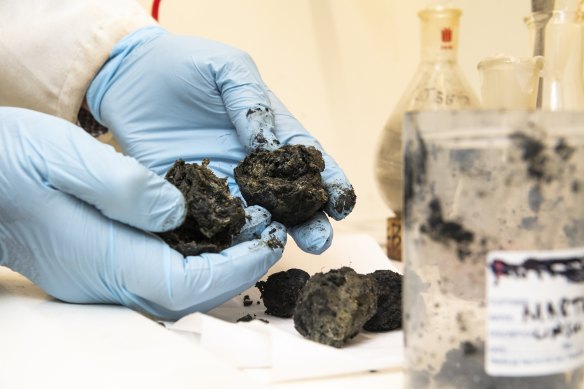 Scientists studied the composition of the black balls that washed up on Sydney’s beaches last October.
