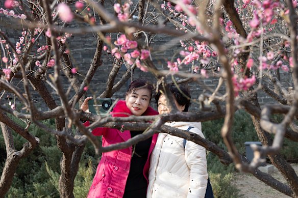 Beijingers flocked to the Ming City Wall Ruins Park in March to capture the plum blossoms.