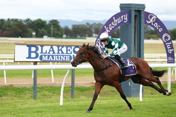 Racing returns to Hawkesbury on Thursday.