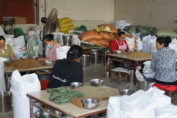 Workers sort through green coffee beans, removing the flawed ones, at Gaosheng Coffee in Yunnan province, China.