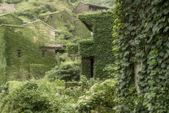 Vines envelop the buildings of the village of Houtouwan which was abandoned in the 1990s. 