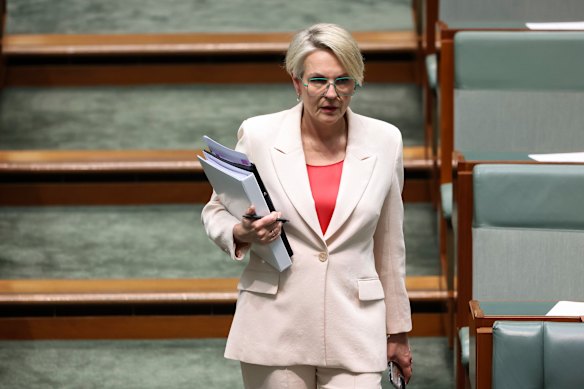 Minister for Social Services Tanya Plibersek.