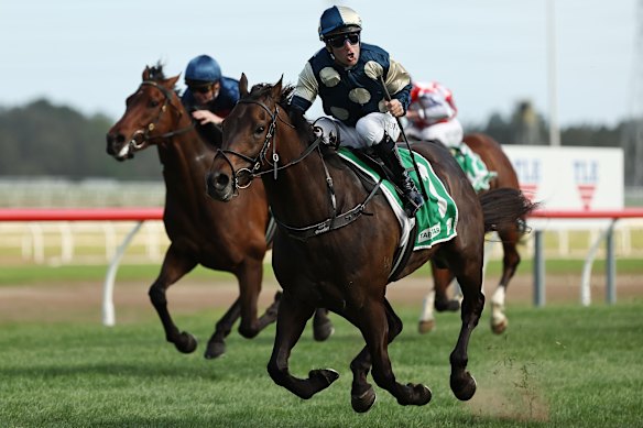 Tommy Berry riding Gringotts in The Illawarra Mercury Gong at Kembla Grange last year. 