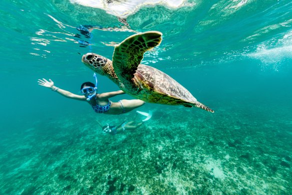 Snorkelling is one of the absolute highlights of the trip. 