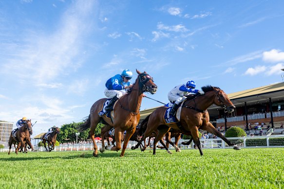 Fire Star and Jason Collett, left, finish a close second to Hidden Wealth last start in the Falvelon at Eagle Farm.