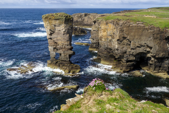 The “Castle” oversea  stack astatine  Yesnaby Cliffs connected  mainland Orkney.