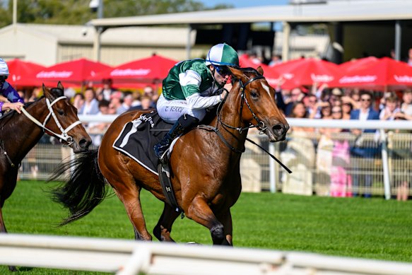 Queensland filly Sunrays.