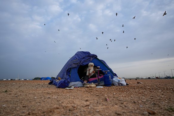 A displaced woman holding her dog sits in her tent in Beirut, Lebanon, awaiting an official order from Hezbollah to return to her home in south Lebanon following a ceasefire between Hezbollah and Israel.