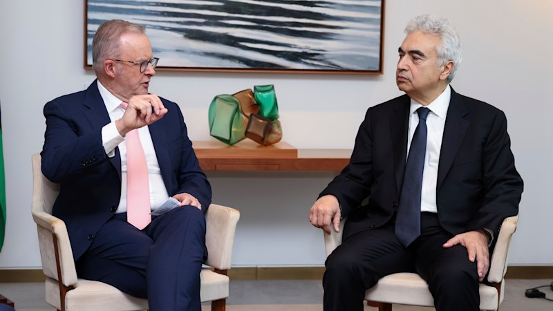 Australia gas supply a bargaining chip with China, Japan talks on fuel