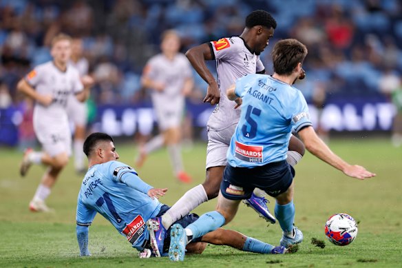 Sydney FC management have expressed disappointment over the standard of the pitch at Allianz Stadium.