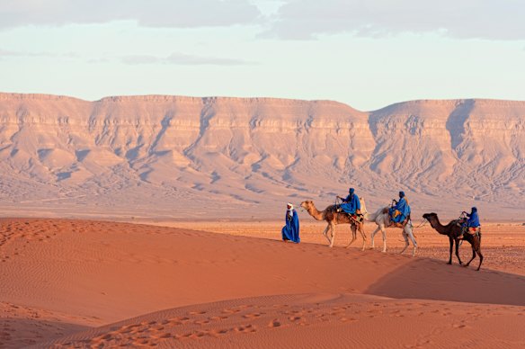 A camel caravan on the Sahara sands in Tunisia.