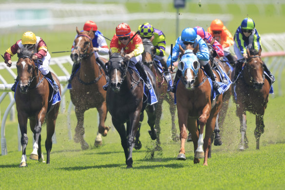 Canterbury volition  big   a seven-race gathering  connected  Wednesday.