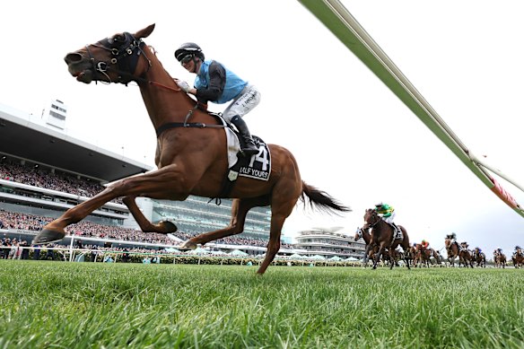 Punters bet more than ever on the 2025 Melbourne Cup.