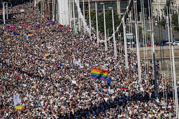 The tens of thousands of marchers crossing the Elisabeth Bridge.