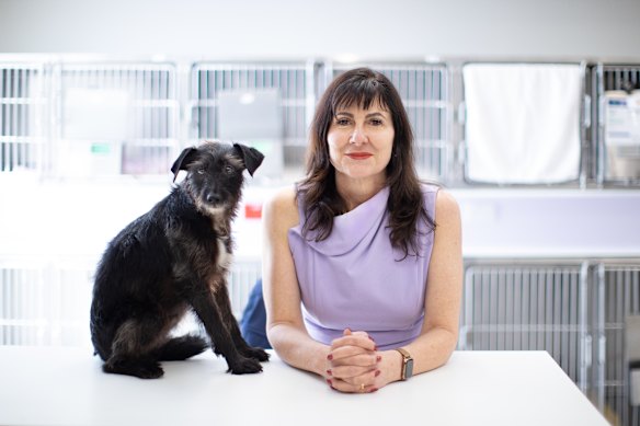 Lort Smith Animal Hospital chief executive Frances Mirabelli.