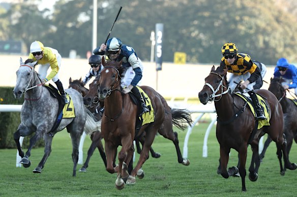 Jockey Ethan Brown salutes aboard Jimmysstar (centre) in the group 1 All Aged Stakes at Randwick in April.