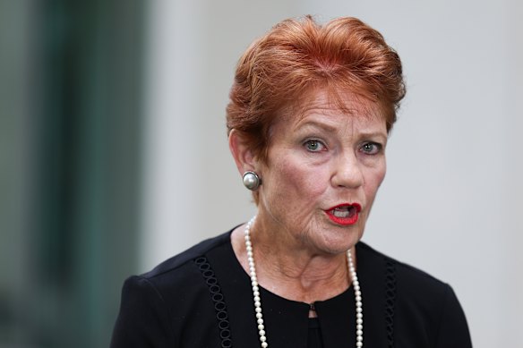 One Nation leader Pauline Hanson
