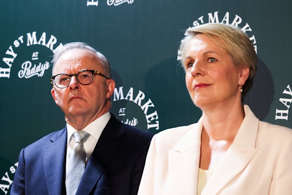 Albanese and Plibersek appeared together at the re-opening of Paddy’s Market in the latter’s electorate of Sydney on Wednesday.