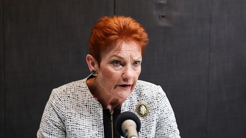 One Nation proposal for 5 per cent GDP spending could cost taxpayers an extra 0 billion