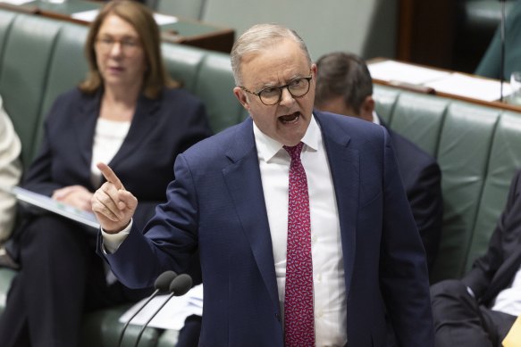 Prime Minister Anthony Albanese during question time on Wednesday.