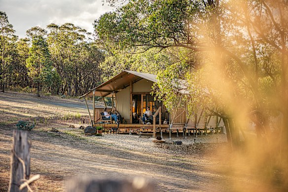 Glamping at The Yellow Box Wood, Costerfield.