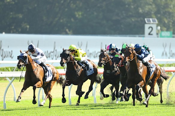 Robusto (left) wins the group 2 The Ingham at Randwick last year.