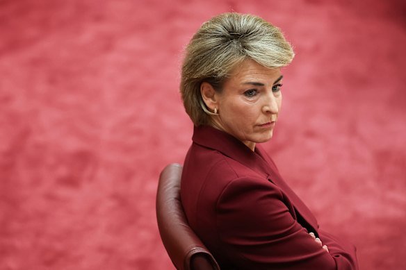 Leader of the opposition in the Senate, and foreign affairs spokesperson Senator Michaelia Cash.