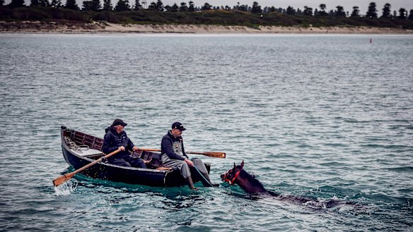 Trainer Shane Jackson works Victoria Derby hopeful King Snitz in Warrnambool’s Lady Bay.