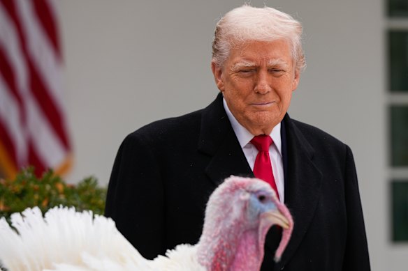 US President Donald Trump pardons national Thanksgiving turkey Gobble during a ceremony in the Rose Garden of the White House.