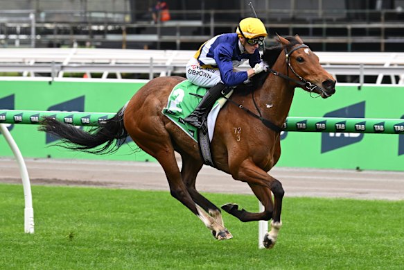 Saintly Dancer and Blake Shinn win the group 1 Thousand Guineas at Caulfield. 