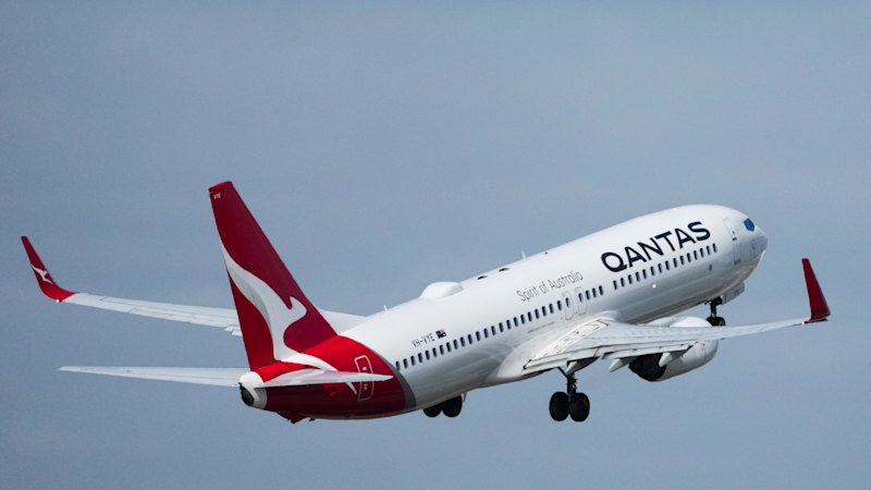 Airlines offer cheap domestic flights amid rising fuel costs, Mideast conflict