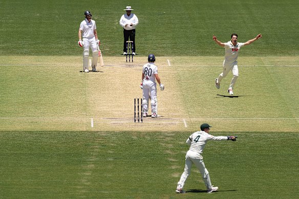  Pat Cummins celebrates as Marnus Labuschagne reels in a classic catch just out of camera.