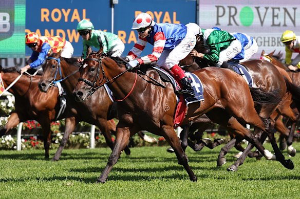 Verona Rose wins the Guy Walter Stakes at Randwick in February.