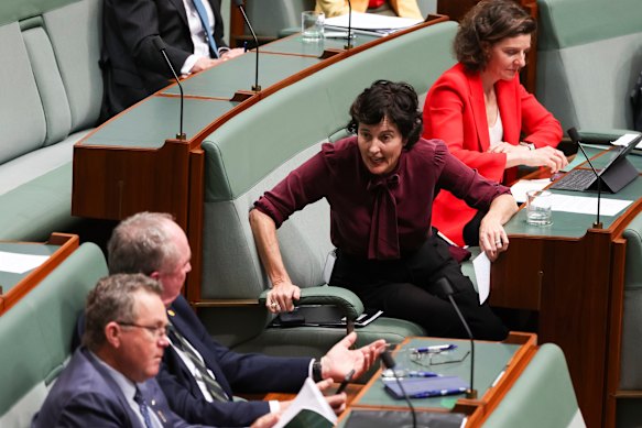 Kate Chaney raised a point of order on comments made by former Nationals leader Barnaby Joyce. 