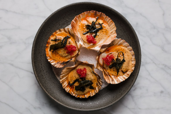 Flinders Island scallop with brown butter and finger lime.