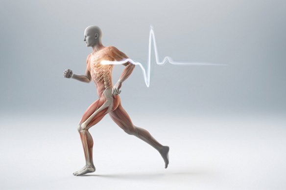 There is no such thing as a benign level of plaque, a study has found.