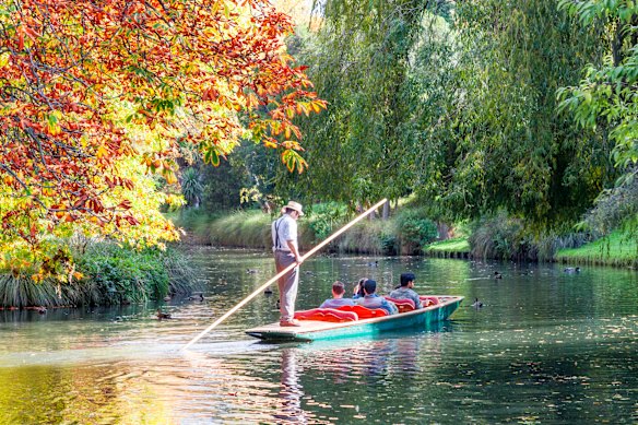 Feel every bit the tourist while punting down the Avon.