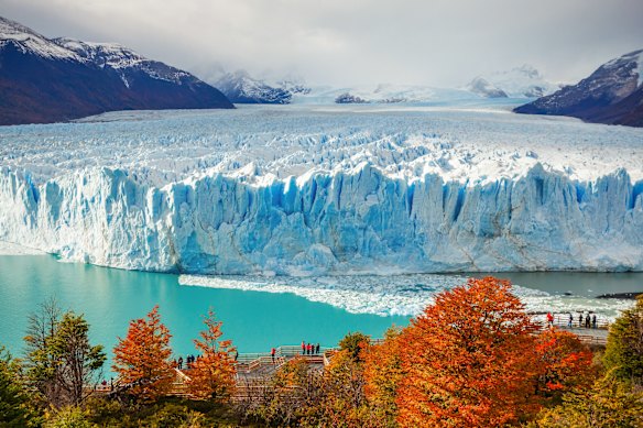 The Perito Moreno Glacier in the Los Glaciares National Park, Argentina.