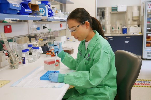 Marina Suzuki, who is the lead author of the study and a PhD candidate at UQ’s Queensland Alliance for Environmental Health Sciences.