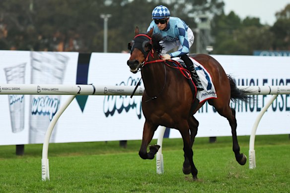 Dylan Gibbons and Estadio Mestalla cruise to victory in the Winter Stakes at Rosehill on Saturday.