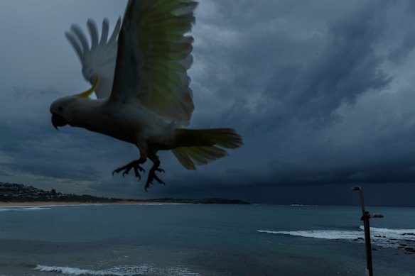 Sydney could be bracing for an east coast low – the first in three years.