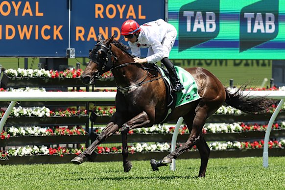 Paul Snowden-trained Navy Buoy wins the Highway Handicap at Randwick on December 20.