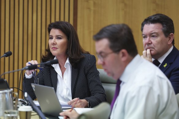 Opposition finance spokesperson Jane Hume during Senate estimates today.